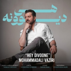 دانلود آهنگ محمد علی وزیری هی دیوونه